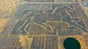 金沙“蓝海”，人沙共生：实地探访世界上最大的光伏板图形电站——骏马电站