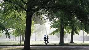 提升全民健身智能化水平，贝锐蒲公英助力打造智慧健身解决方案