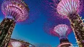 天玑手机的影像能力有多能打？Discovery纪录片制作团队有话说！