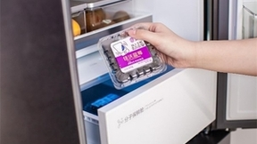 六大核心科技加持，TCL格物冰箱Q10正式发布