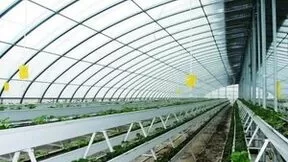 数智赋能乡村振兴谱新篇 联通助力千年古城焕新颜