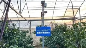 中国移动浙江公司：激发创新进取磅礴力量，筑牢网络强国“数字基石”