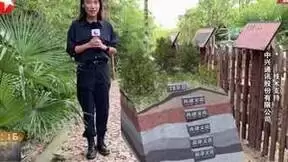 中兴5G助力东方卫视完成首次轻量化AR现场直播，诠释中华文明之美