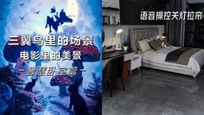 三翼鸟：智慧卧室里的场景《爱丽丝梦游仙境》里的美景