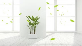 调温控湿净化，海信荣耀家中央空调提升呼吸环境多面手