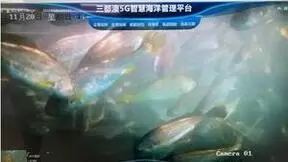 开启海上养殖新模式，5G智慧养殖方案助推海洋经济高质量发展