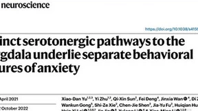 脑机研究成果再登顶级科学杂志 世纪华通浙大传奇创新中心“梅开二度”