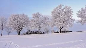 今冬以来最强寒潮已至！打开墨迹天气轻松获取防寒资讯