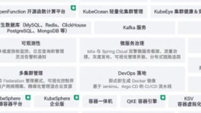 青云云原生：为企业打造“云原生专属”方案，驱动业务创新