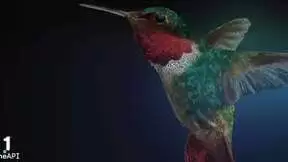 英特尔oneAPI 2023工具包正式上线，帮助开发者利用英特尔硬件的先进功能