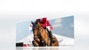 双旦将至、新年换新音画王者索尼电视陪你共度幸福暖冬