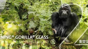 康宁公司新一代康宁大猩猩玻璃产品发布 将持续研发与技术创新