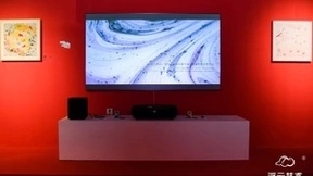 亮相跨界艺术大展！海信激光电视绽放家电美学光彩