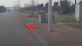 北京电信“AI巡检员”上线 公路检测快100倍