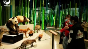 全球首只仿生大熊猫机器人亮相：可与游客畅快交流