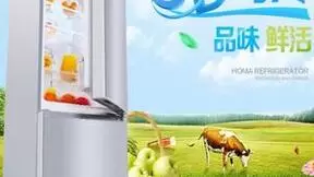 TCL助力抢占海外市场高地，奥马家电冰箱出口强势领跑