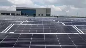 晴天科技：自主研发业务管理系统，“晴天云”助力精细化管理