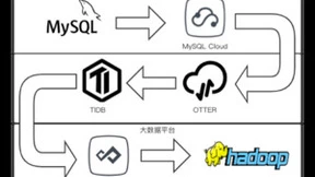 TiDB x 同盾科技，实时数据架构为风控智能决策保驾护航