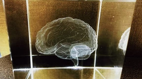 脑虎科技彭雷:投资热潮下的脑机接口更需行稳方能致远