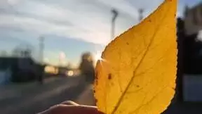 远近皆出众，明暗都出彩，华为Mate50系列展现全能影像体验