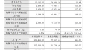 格灵深瞳发布业绩快报，成为首家盈利的AI视觉上市公司