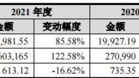 儒竞科技IPO：“宏图计划3”中不可忽视的角色