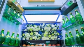 容声冰箱抢占“超薄嵌入”新赛道，技术创新是竞争加速器