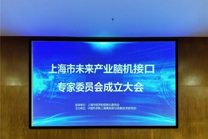 驱动产业创新升级 上海市未来产业脑机接口专家委员会成立