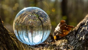 Bostik：自动化与数字化带来可持续的未来