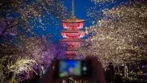 云赏夜樱 湖北首个5G+4K超高清直播应用落地为旅游经济注智赋能
