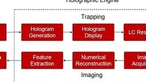 微美全息推出实时网络全息显微镜交互技术，可广泛应用于教育科研