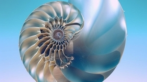 网易云音乐联合网易放刺三亚举办电音节，全方位拓展线下活动能力