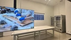 填补冰箱保鲜行业空白！海尔冰箱全空间保鲜科技达文物级