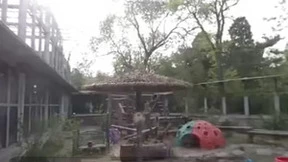 PICO联合21家媒体发起“VR看中国”系列活动，12天30余场VR直播畅游中国