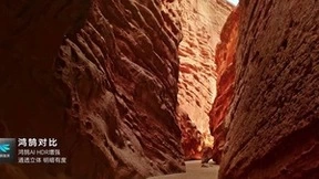 新品华为Vision智慧屏 3发布，年轻人智慧新生活首选