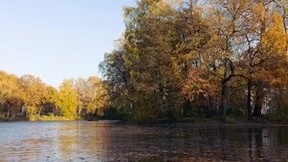 伯俊CTO洞察：伯俊科技618大促“全渠道一盘货”，助力企业解决库存、降本增效