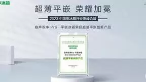 容声双净Pro·平嵌冰箱荣获创新奖！登顶行业销量TOP1