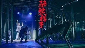 智能机器人与话剧的完美结合：宇树四足机器人B1助力《骆驼祥子》重现经典