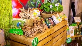 国泰产险：完善“有机食品”服务体系，保障高品质生活