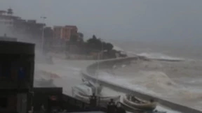 硬怼超强台风“杜苏芮”｜柔性支架系统迎最强检验