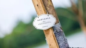 鸿蒙世界里没有篱笆，只有共同灌溉