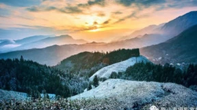 “云中花岭杯·发现最美茶园”摄影大赛征稿启事