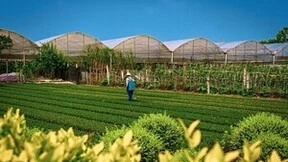 农村污水治理：富朗世MABR技术实现“废水”变“肥水”！