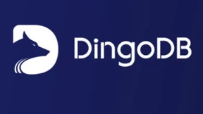 DingoDB多模向量数据库，大模型时代的数据觉醒