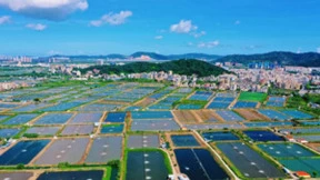 粤海饲料跻身全球顶尖饲料企业榜单！特水料在行业具有强影响力