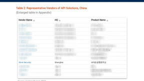 重磅｜瑞数信息入选Gartner中国API领域代表厂商！