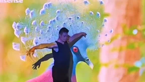 德国IFA展百年佳话！海信4K激光投影与艺术家共舞