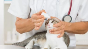 三维天地助力兽医兽药实验室现代化管理水平提升