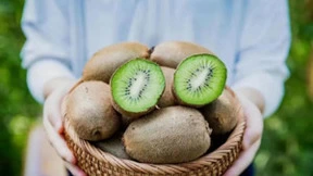 腾讯云六大案例解析中国产业韧性增长突破点