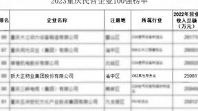 新大正入选2023重庆民营企业100强榜单
